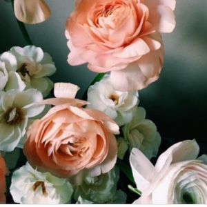 Meet your Posher, Claire